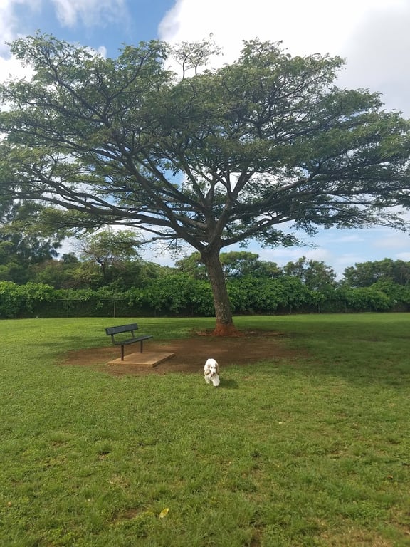 Elaine Dobashi Dog Park