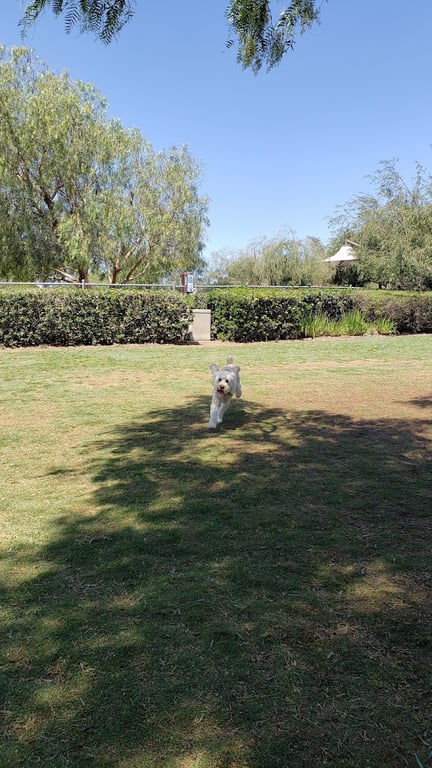 La Paws Dog Park