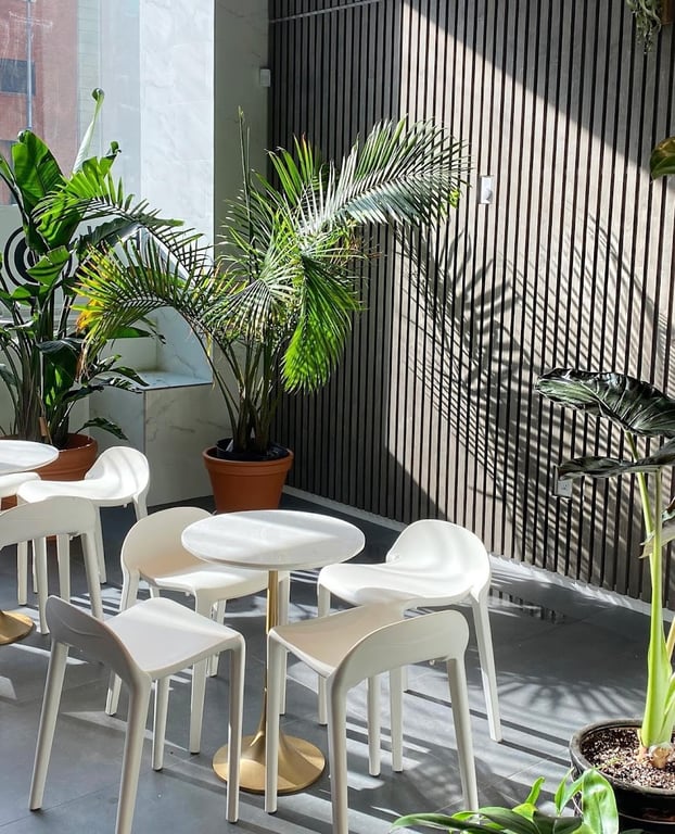 White Noise Coffee – Coffee Shop & Roastery