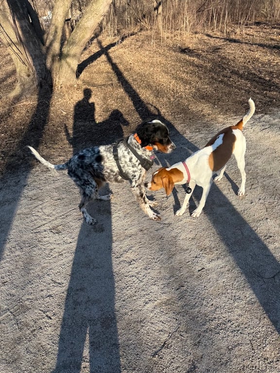 Blackwell Off-Leash Dog Area and Canoe Launch Lot