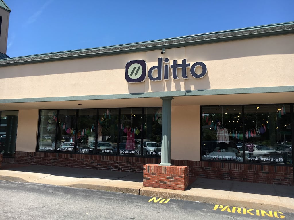 Photo of Ditto