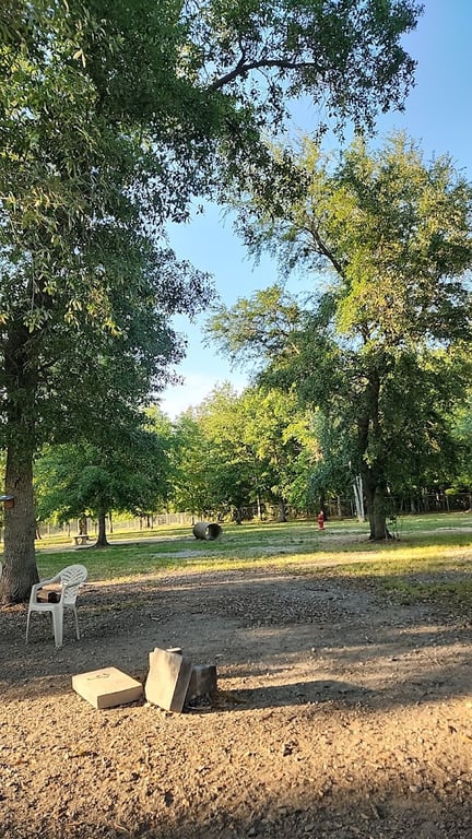 Camellia City Bark Park