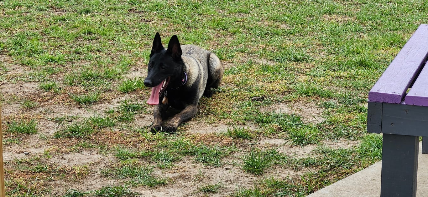 Heartland Off Leash Dog Park
