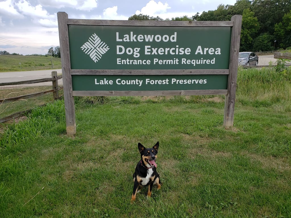 Lakewood Off-Leash Dog Area