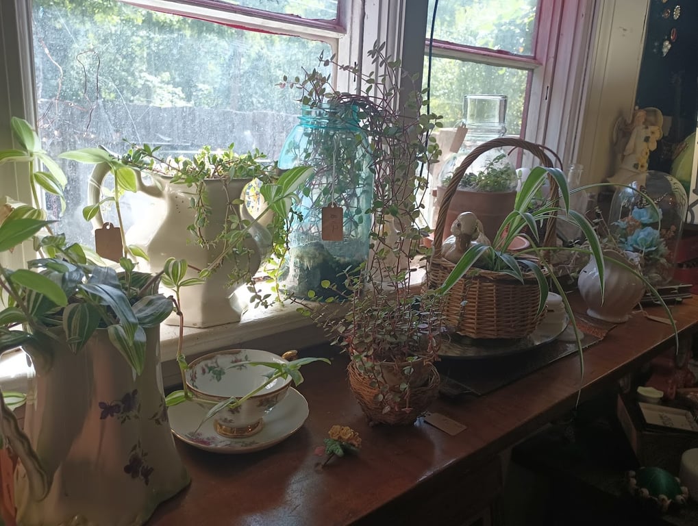 The little shop at Greenbrier