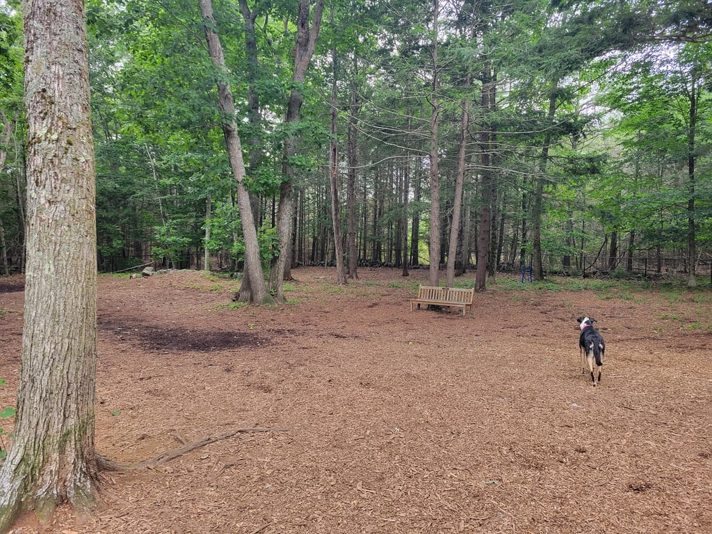 Ogunquit Dog Park