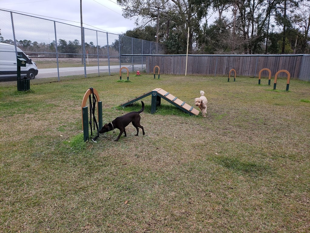 Waveland Bark Park