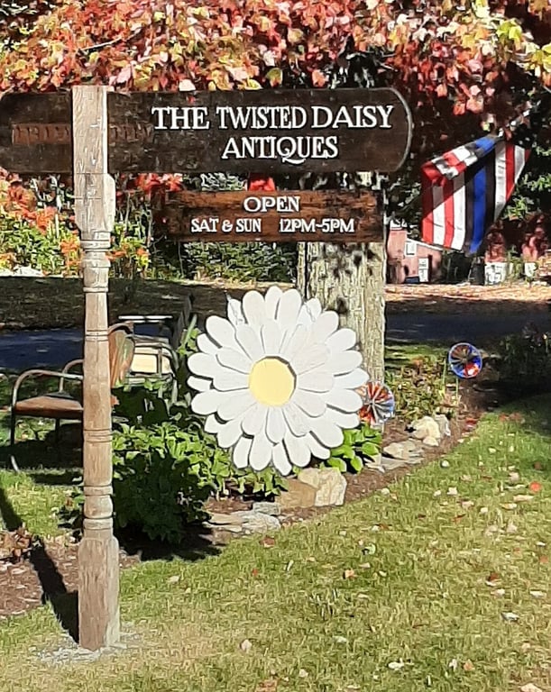 The Twisted Daisy
