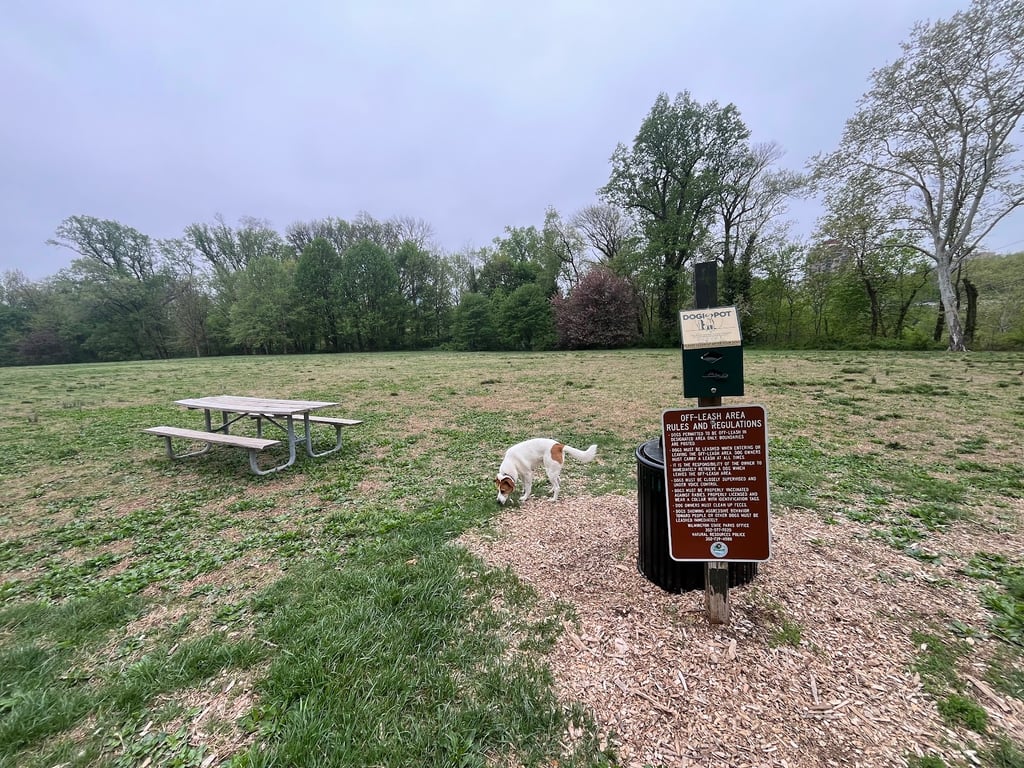 Brandywine Off-Leash Dog Park