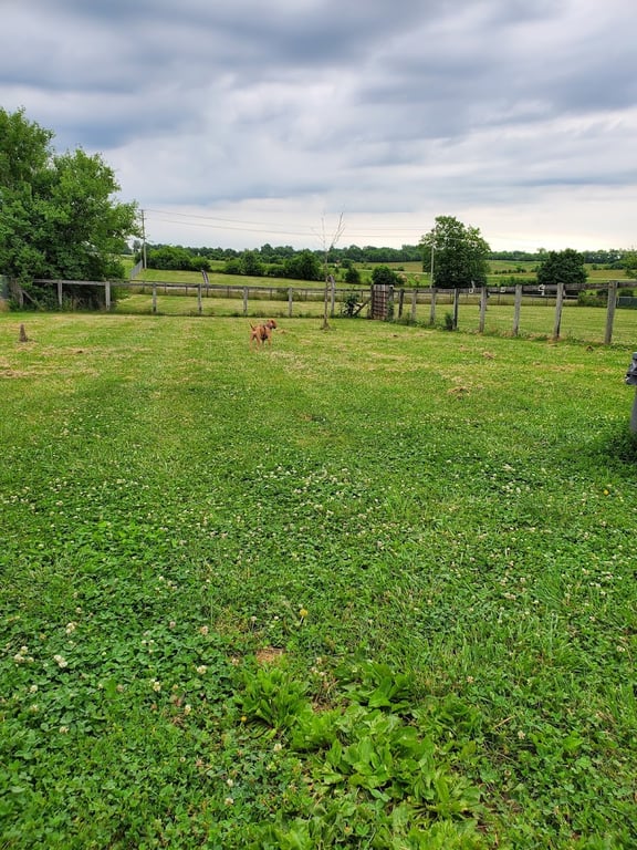 Jessamine County Dog Park