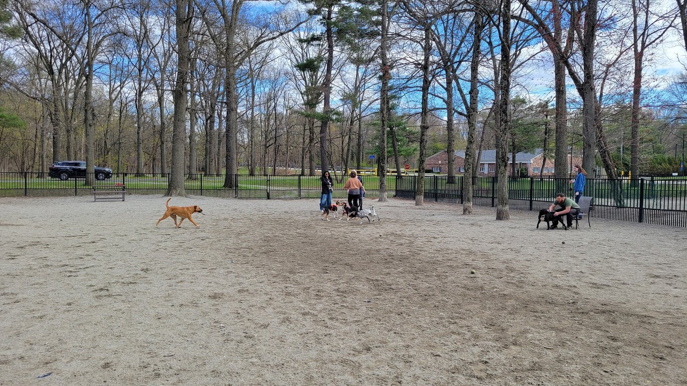 Ridgewood Dog Park