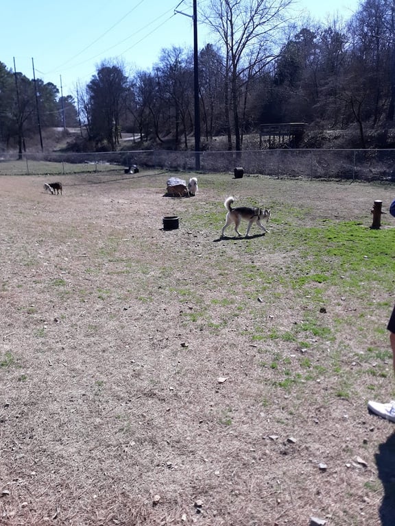 Hot Springs Bark Park