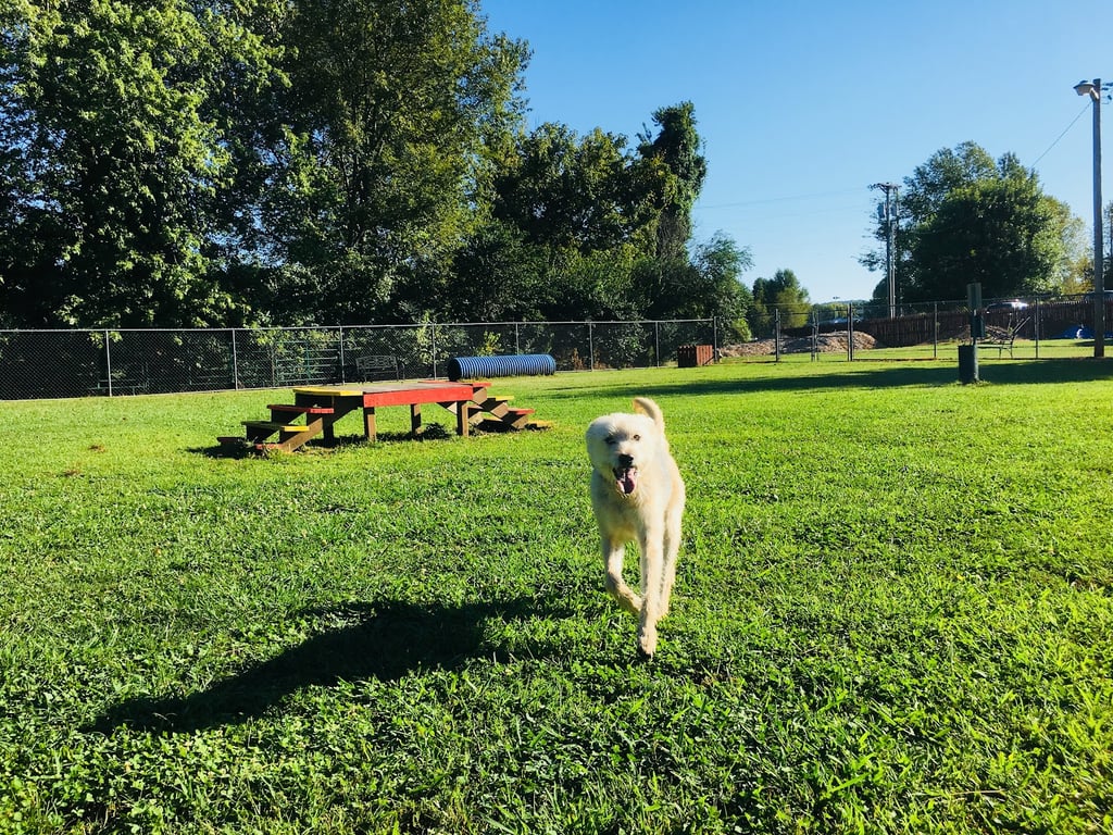 Maggie’s Bark Park