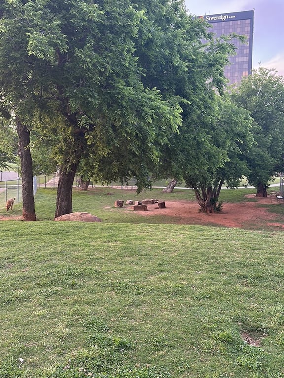 The Dog Park at Saint John’s