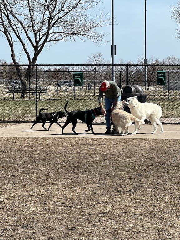 Maxwell Park Dog Park