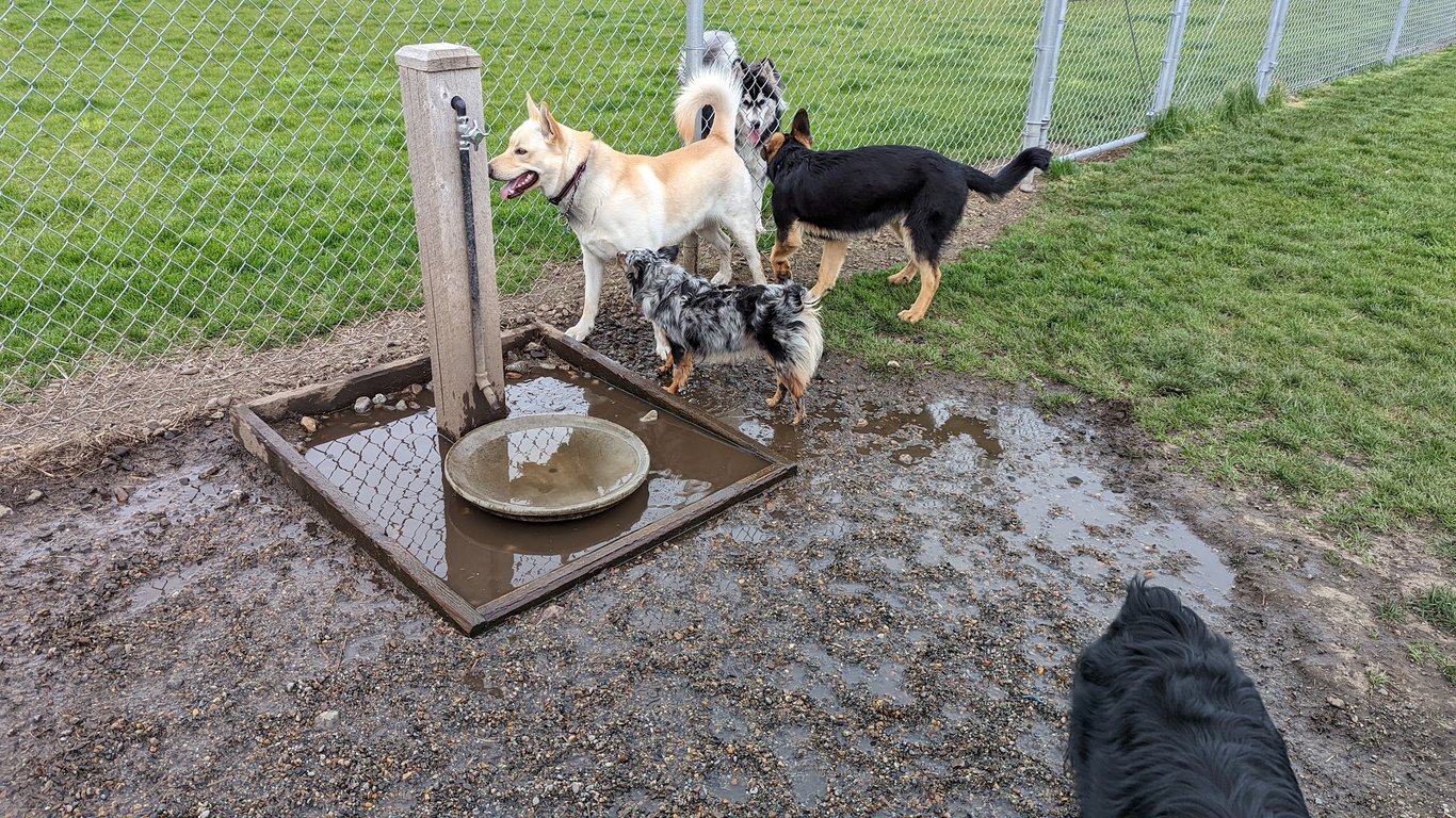 Pawfoot Dog Park
