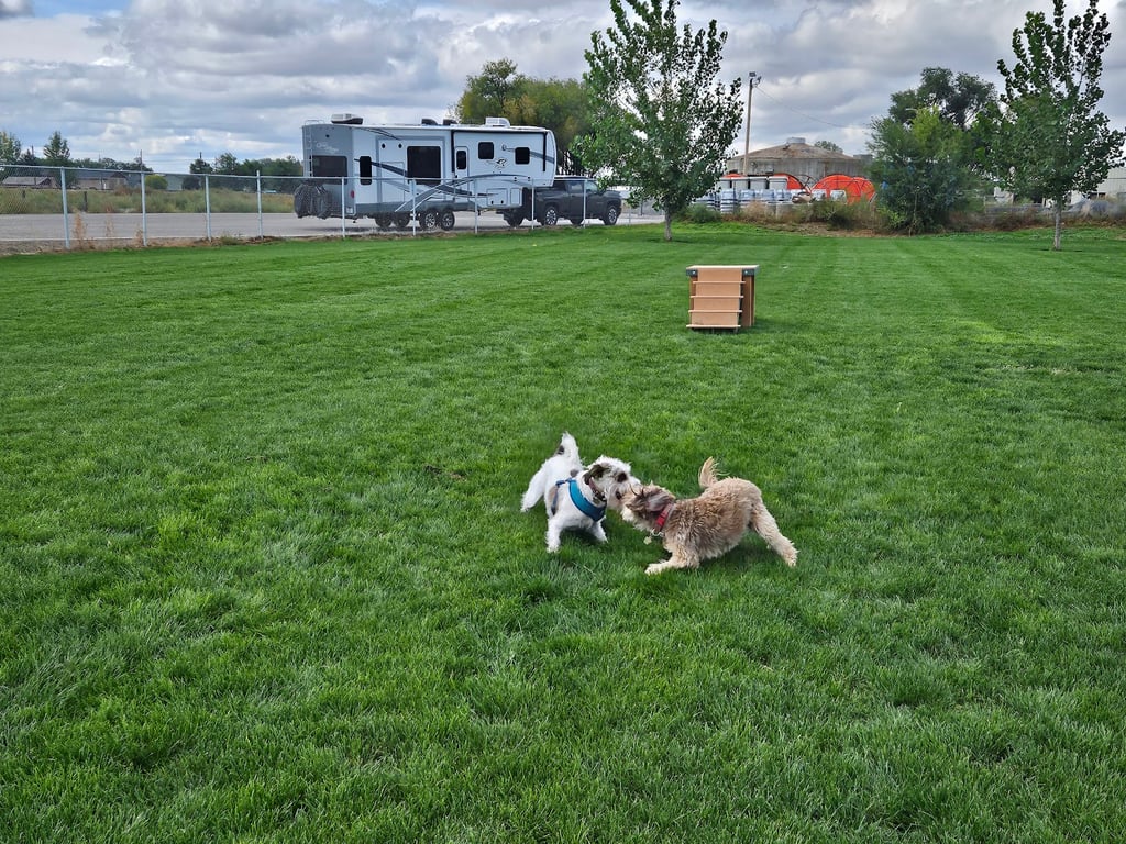 Happy Tails Dog Park