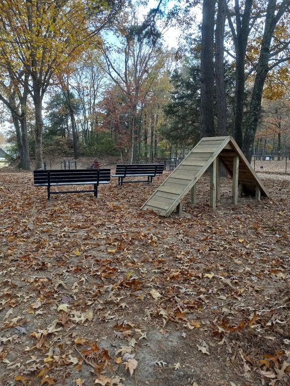 Olive Bark Dog Park
