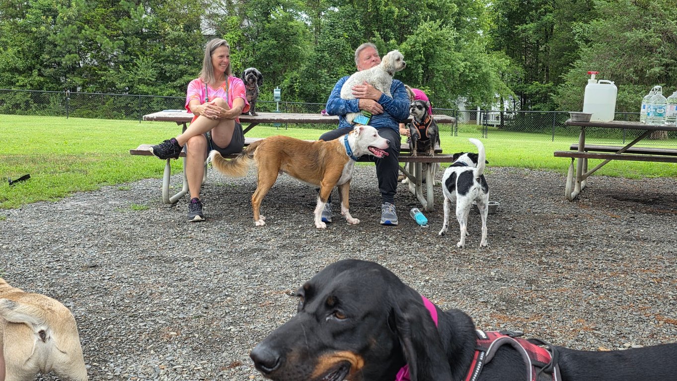 Happy Tails Dog Club