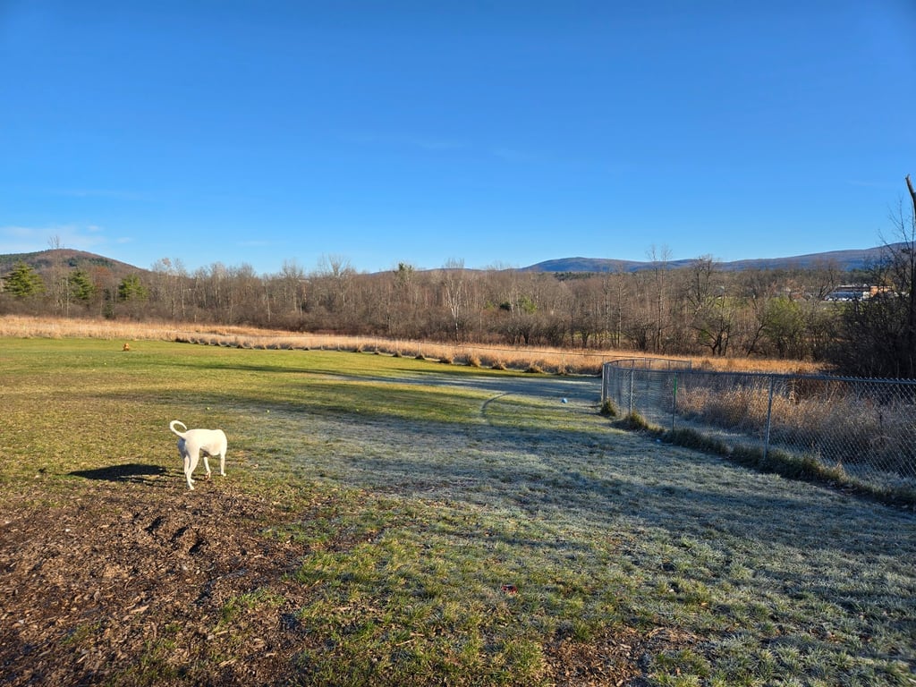 Middlebury Dog Park