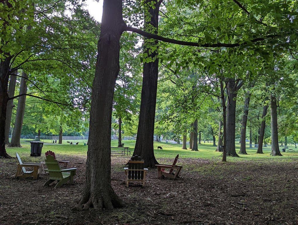 Deeds Point Dog Park