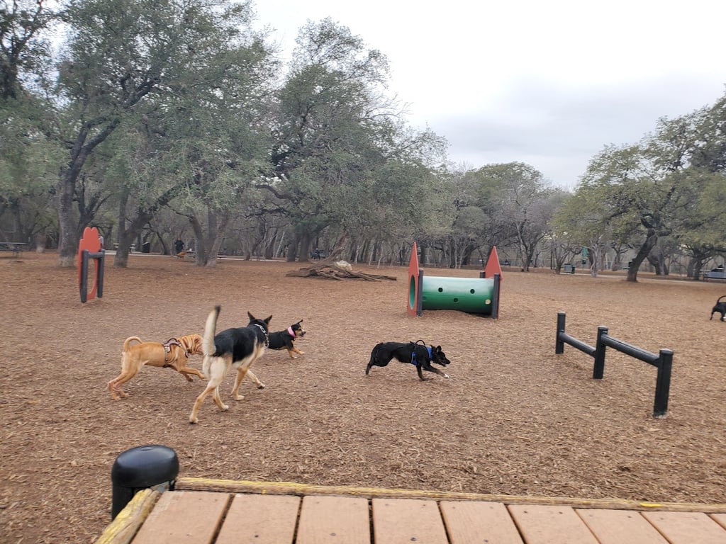 McAllister Dog Park