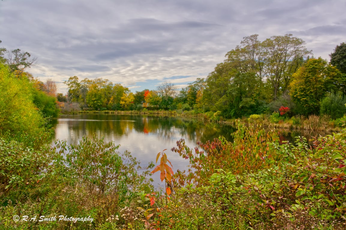 Capisic Pond Park
