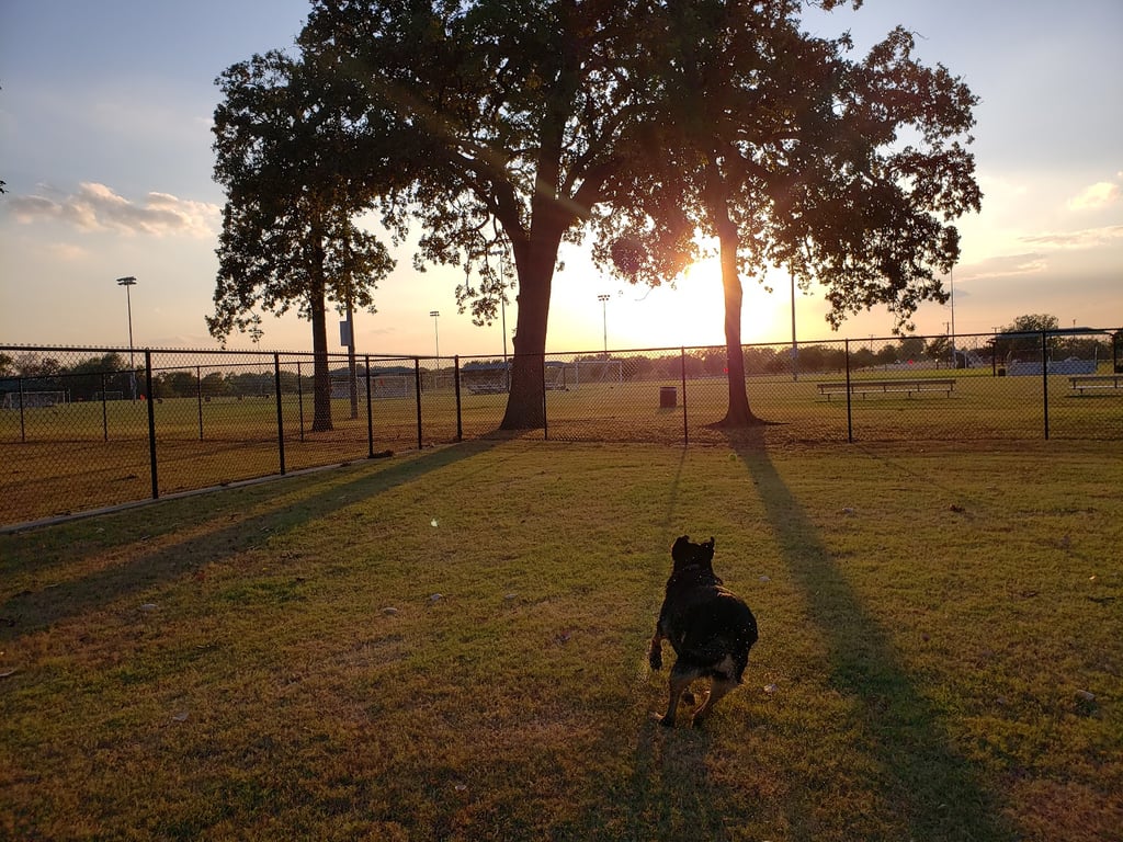 McInnish Dog Park