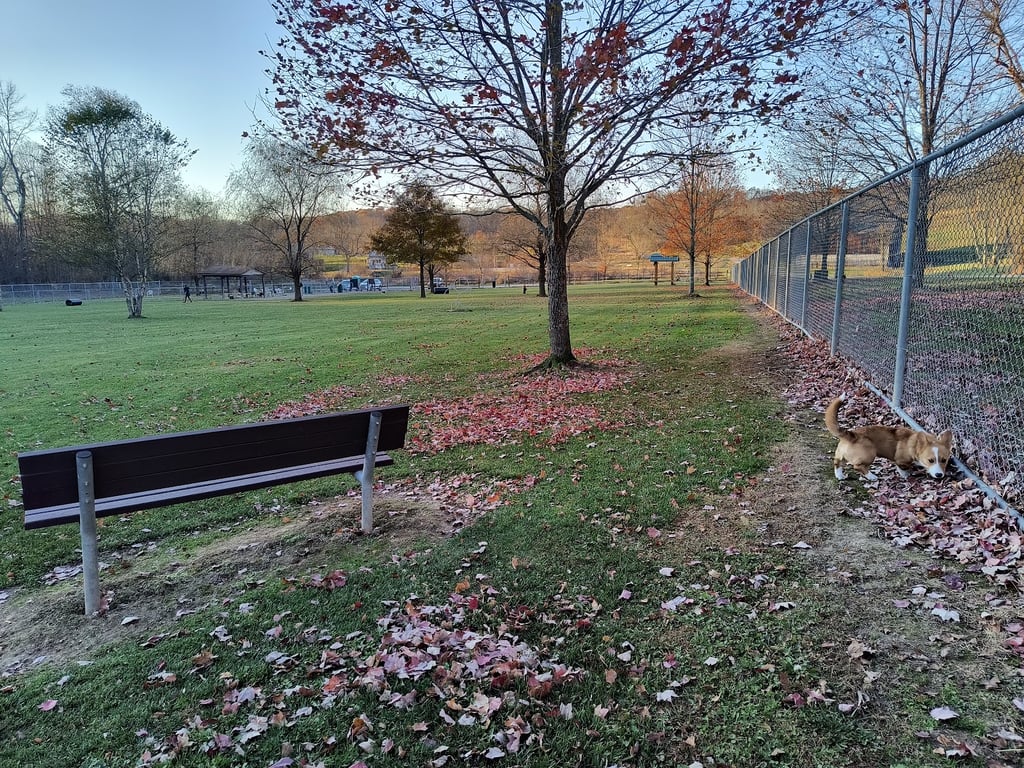 Paws on the Run Dog Park