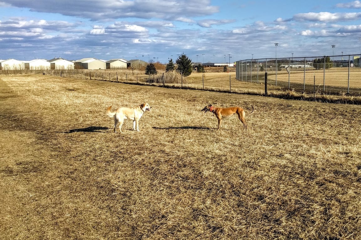 Highway Q Dog Exercise Area