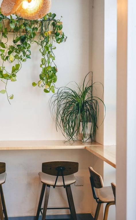 Wellness Sushi
