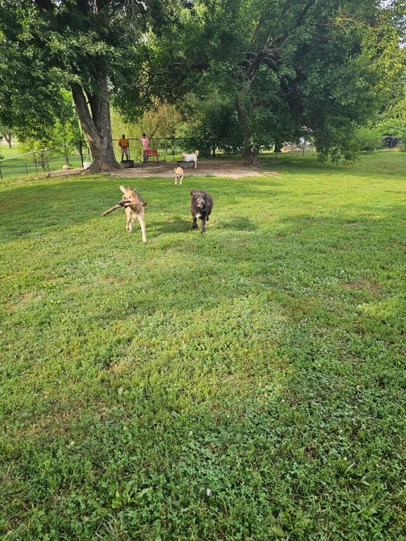 Champions Dog Run (Members Only)