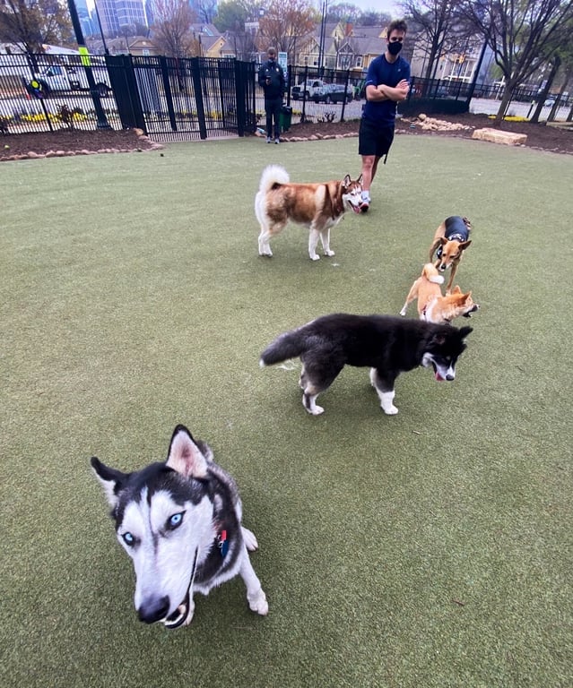 Atlantic Station Dog Park