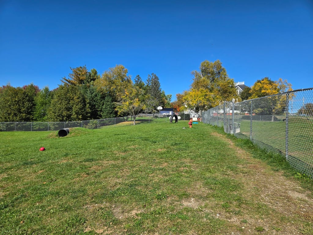 Sincock Dog Park
