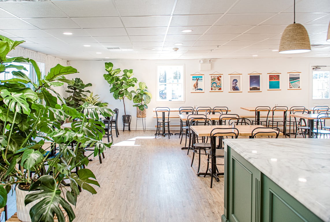 Photo of Hudson Botanical – Café | Catering | Houseplants
