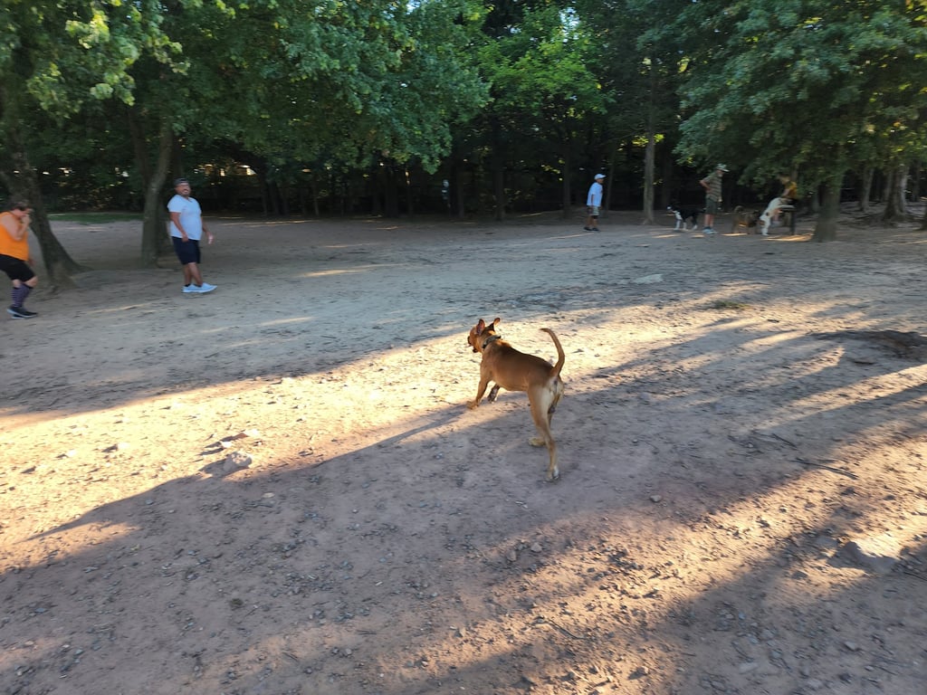 Chandon Dog Park