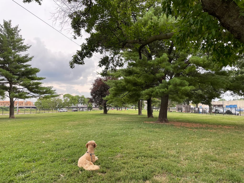 Riverwalk Dog Park