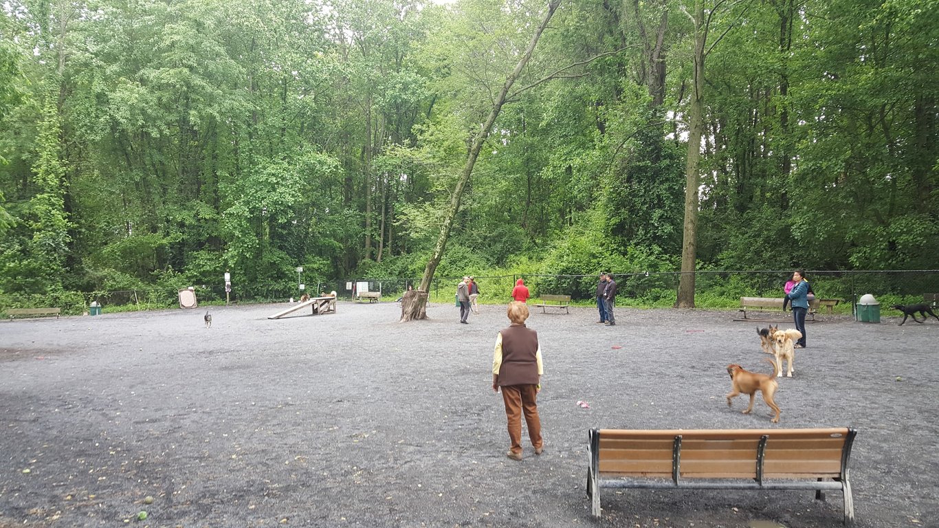 Vienna Dog Park