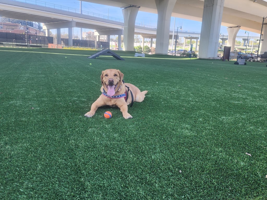 CityWalk Barkery