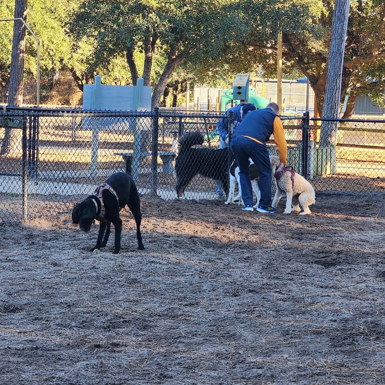 Mary’s Paws Park