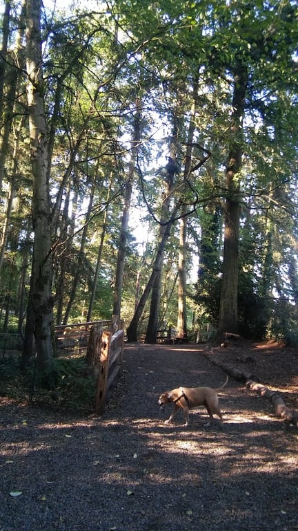 Northacres Off-Leash Dog Area