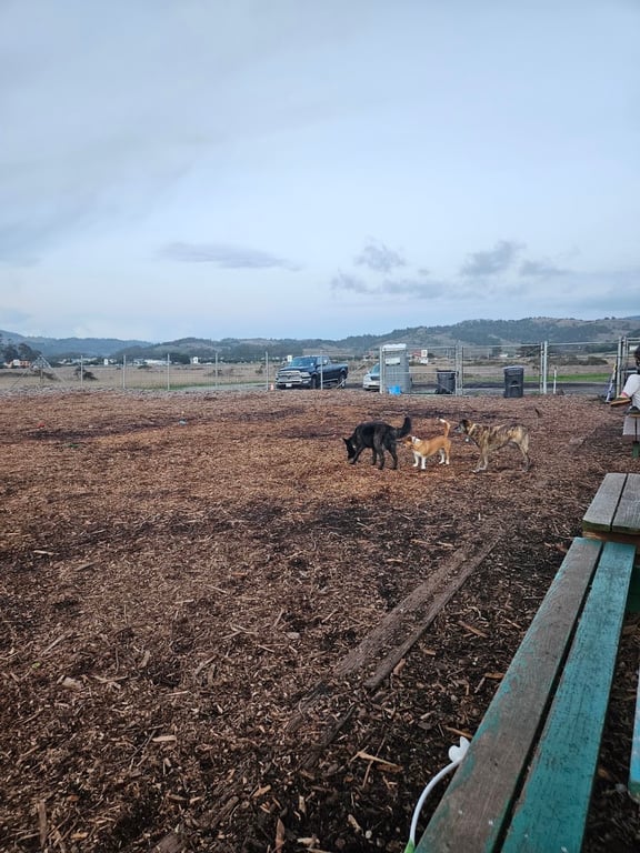 Half Moon Bay Dog Park