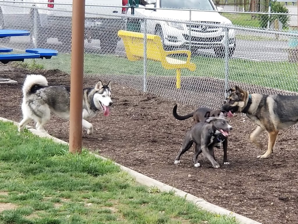 Tails on the Trail (Dog Park)