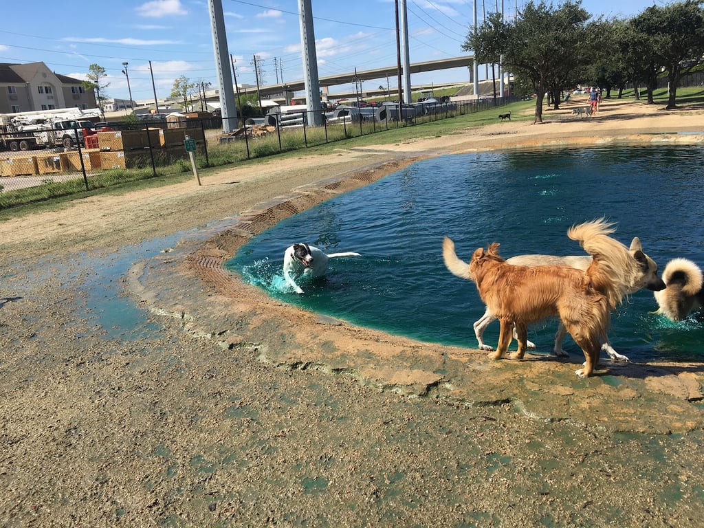 Dog park
