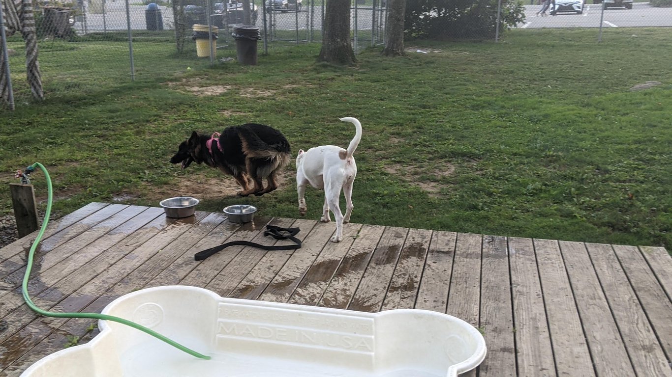 Happy Hound Playground