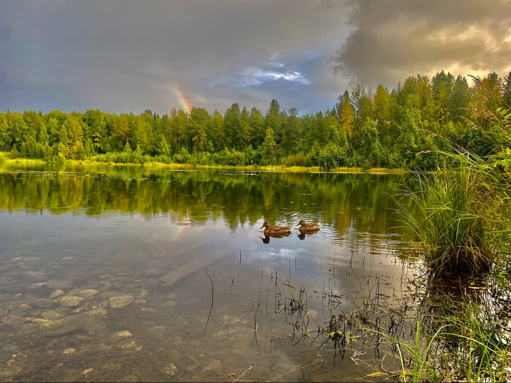 Taku Lake Park North