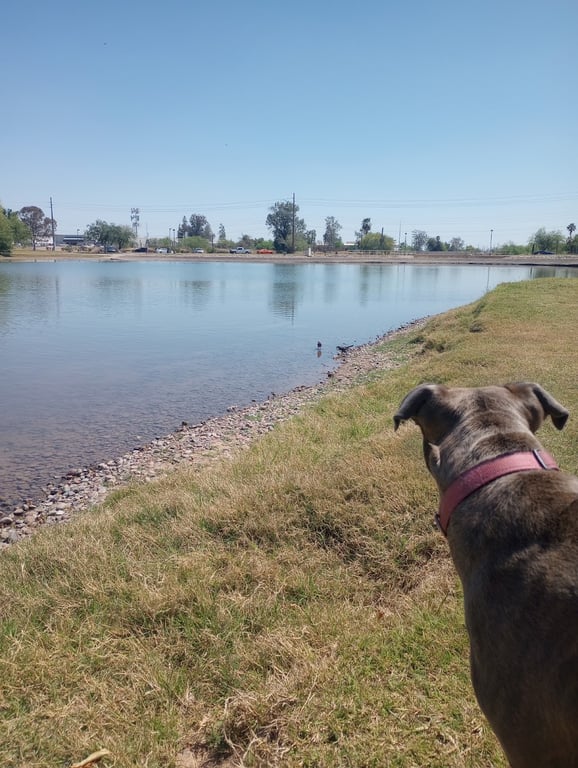 Vista del camino off-leash area