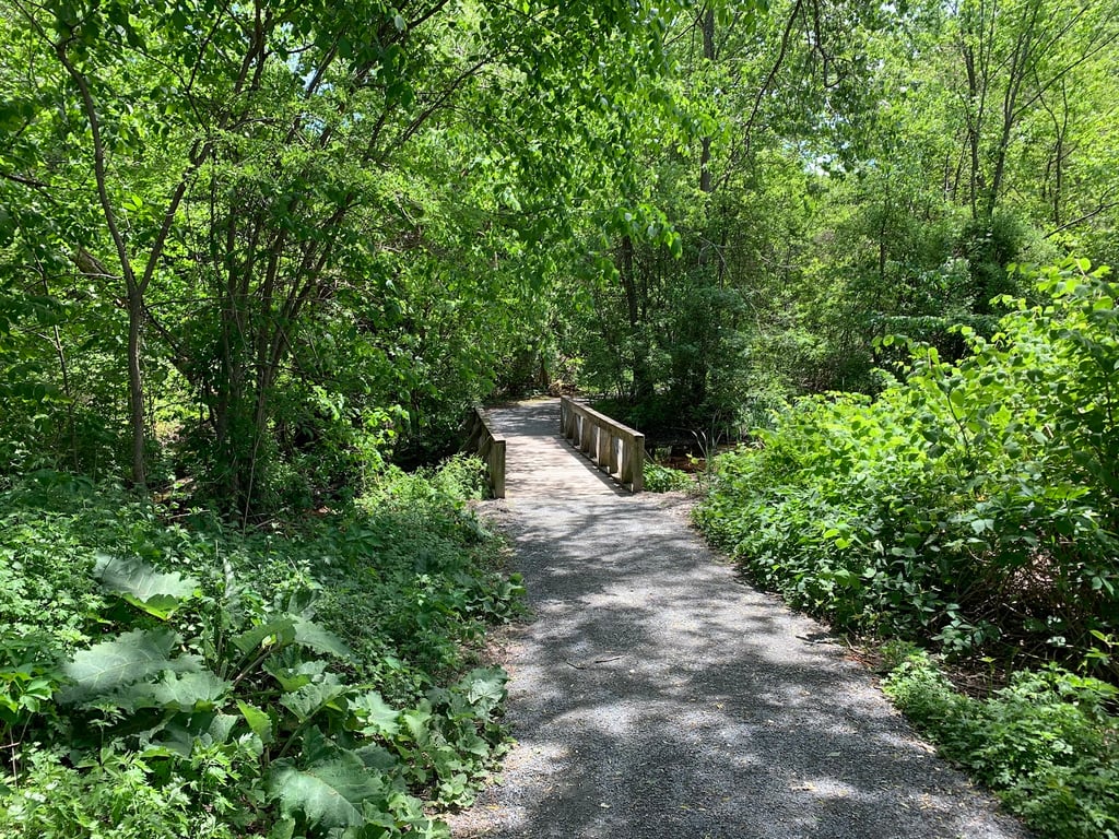Cold Spring Park