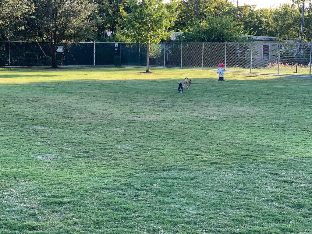 Pawsome Playground Dog Park
