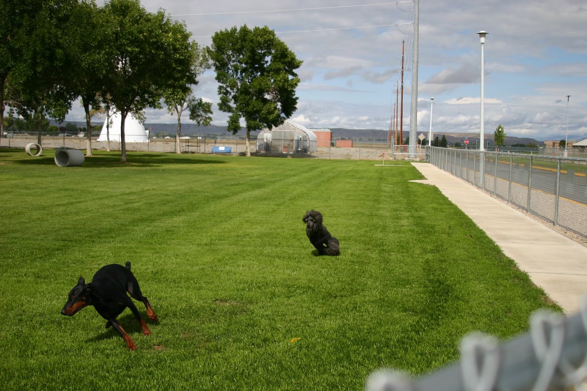 Wiggly Field Off-Leash Dog Park